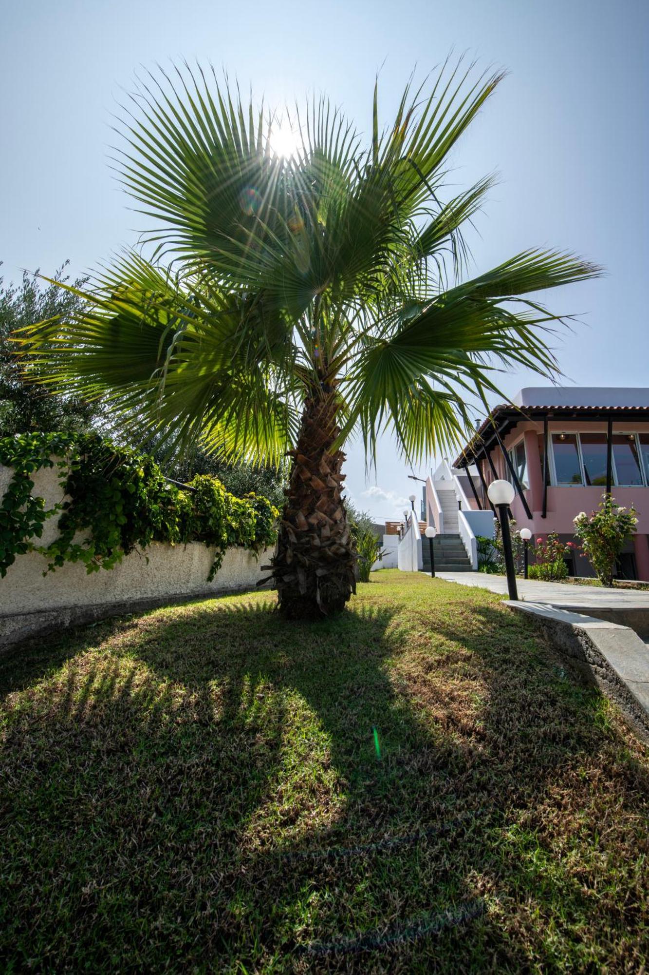 Villa Eleni 100M From The Sea ラパニアナ エクステリア 写真